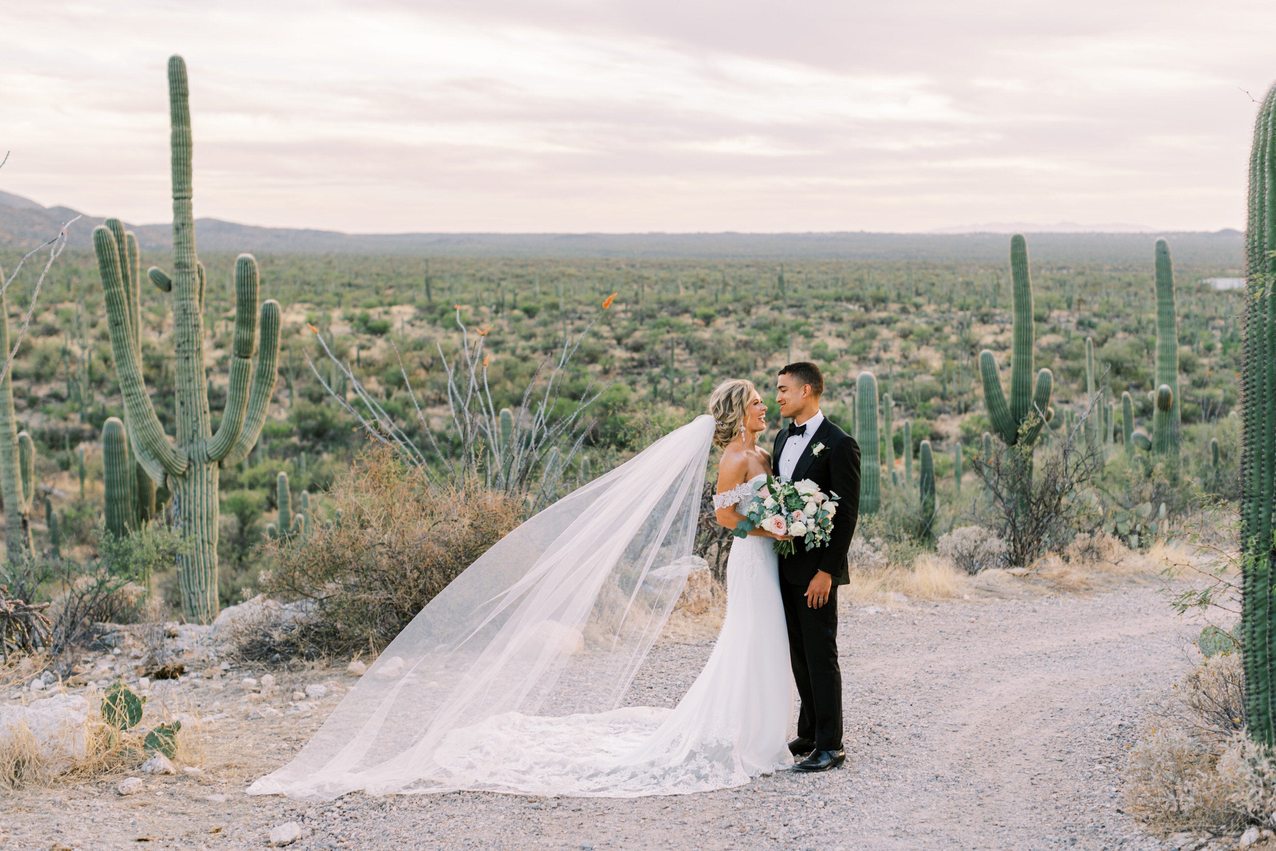 http://www.oneblushingbride.net/cdn/shop/articles/scenic_desert_wedding_with_lace_gown_and_long_cathedral_length_lace_wedding_veil_JOY-933.jpg?v=1655850247