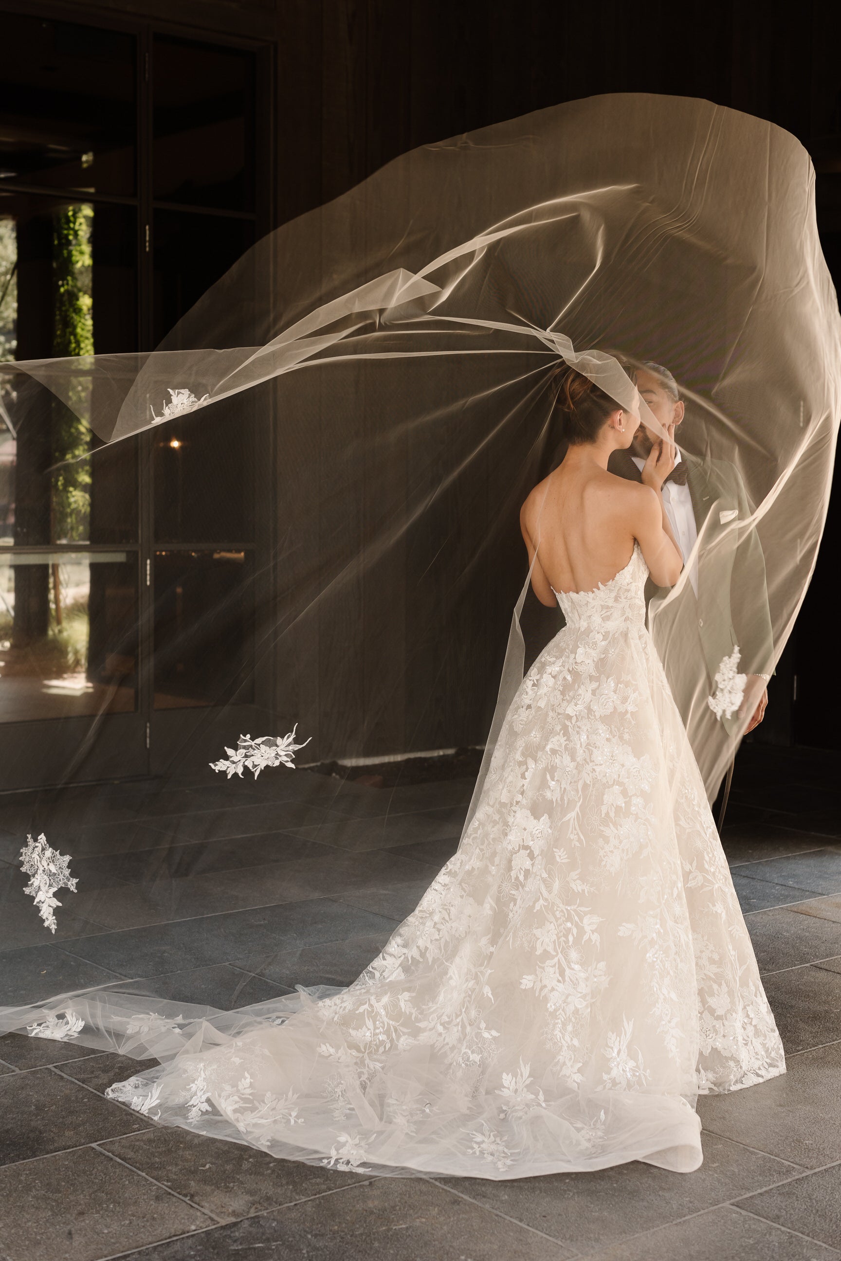 Wedding Bridal Veil Cathedral Length Veils with Appliques Wedding