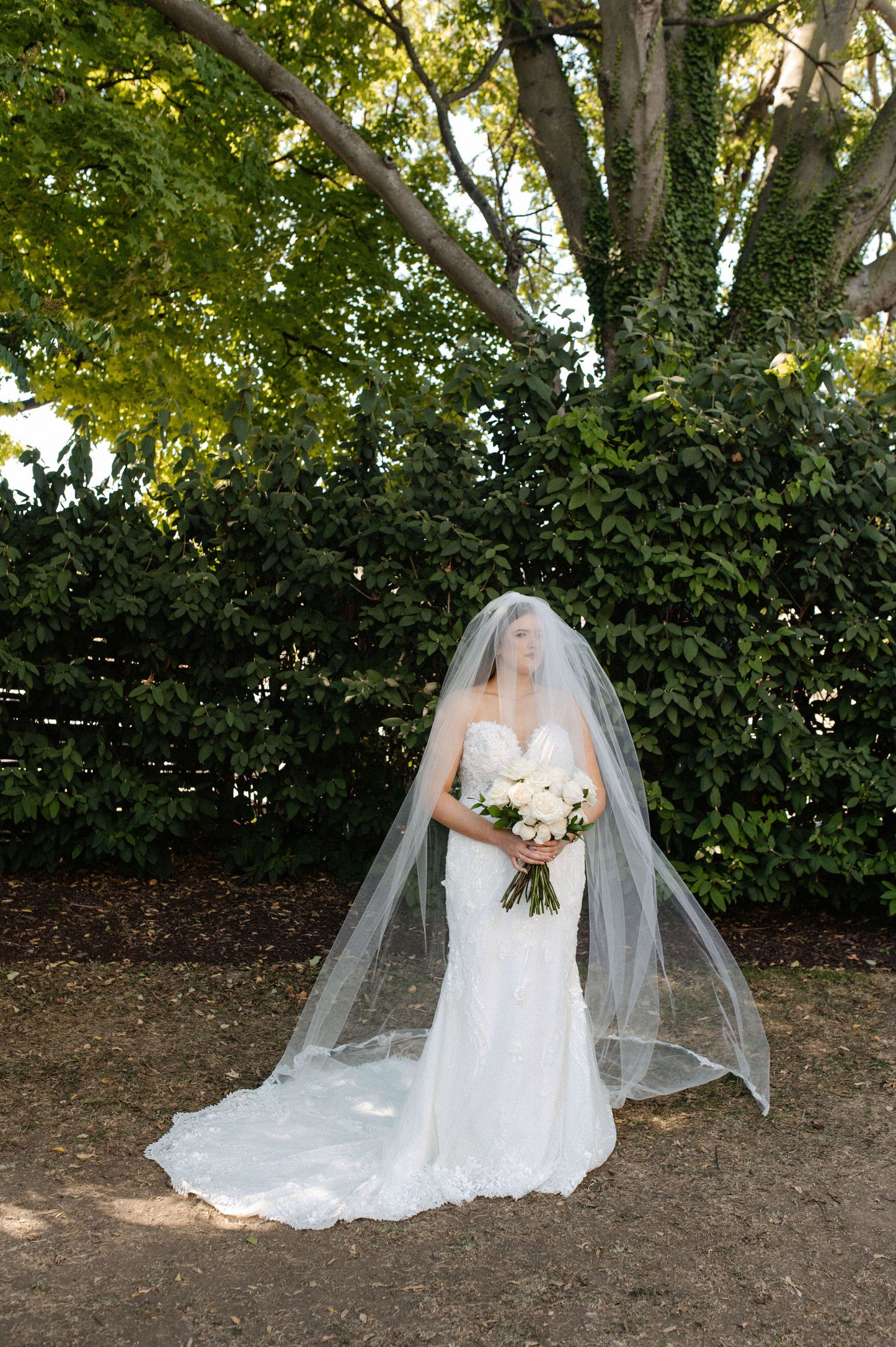romantic two layer long 120 inch wedding veil with whit lace edge on bride holding white bouquet