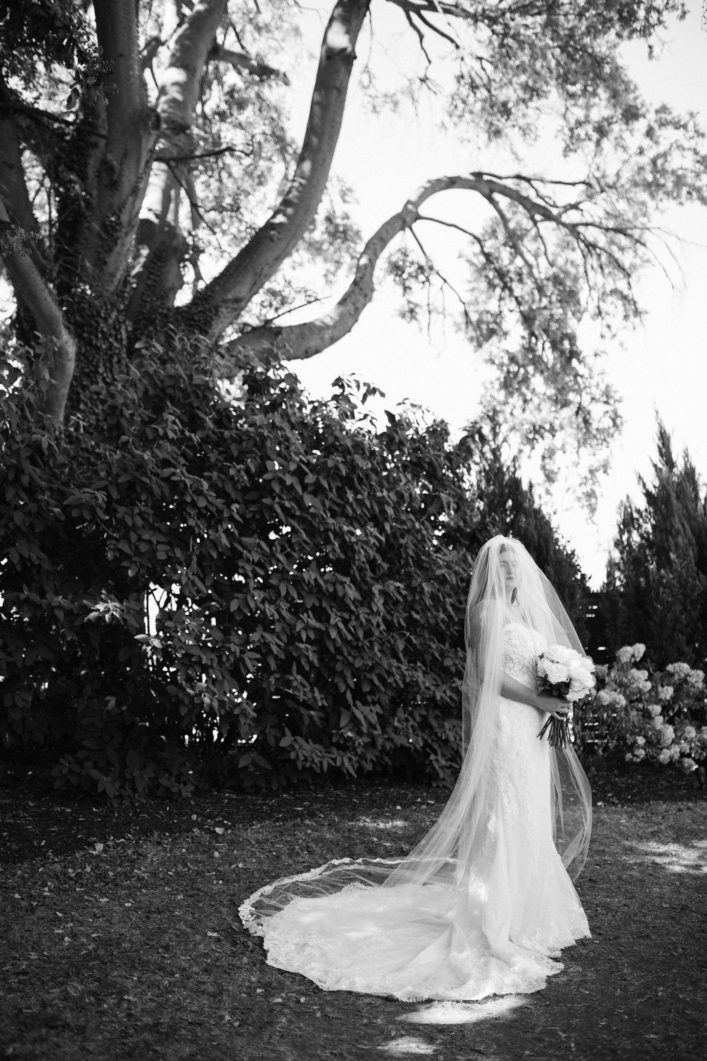 two layer cathedral length bridal veil with lace trim on curvy bride
