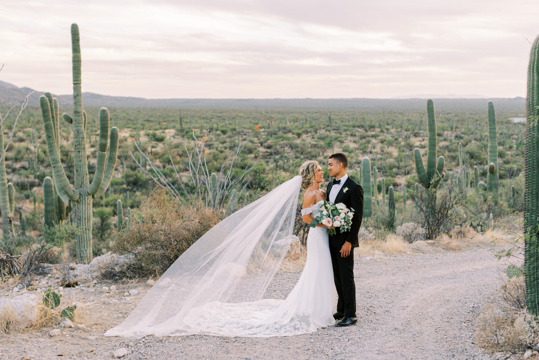 outdoor desert wedding with cactus and long cathedral veil blowing in wind
