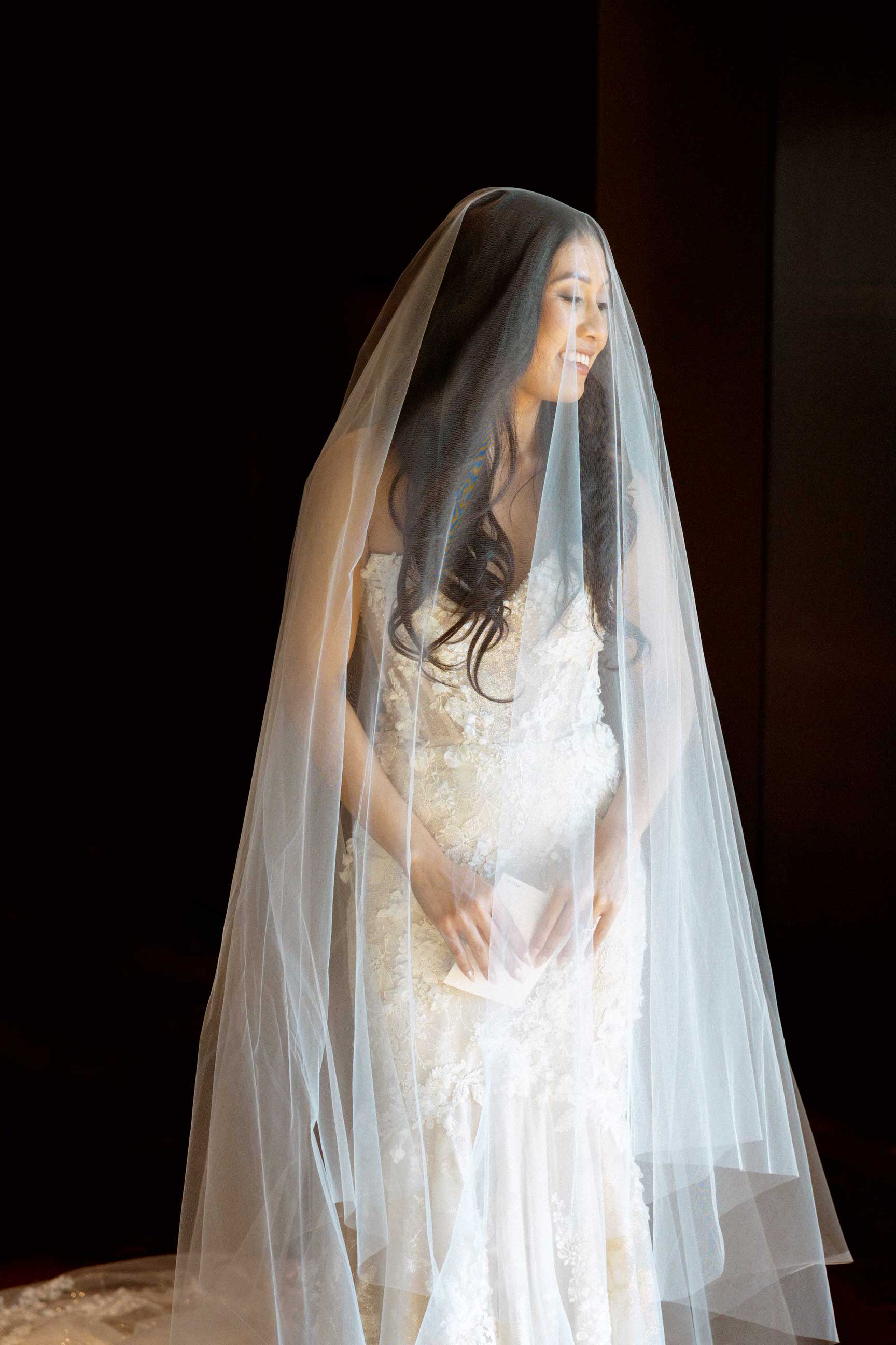 cathedral veil with a line dress Cathedral Veil with Lace Trim