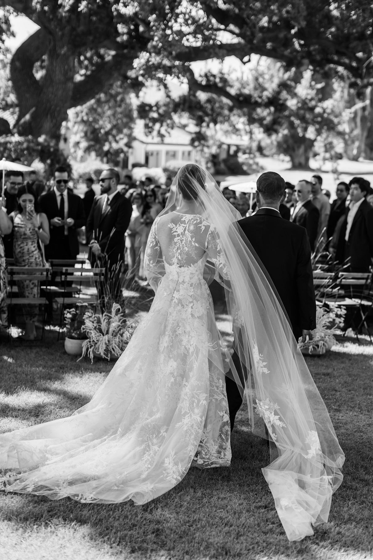 NEVER WORN- NWT  Cathedral-Length Bridal Veil with Lace Appliqué 44303V: Cathedral Length Veil Adorned with Sequined Lace  main image 3