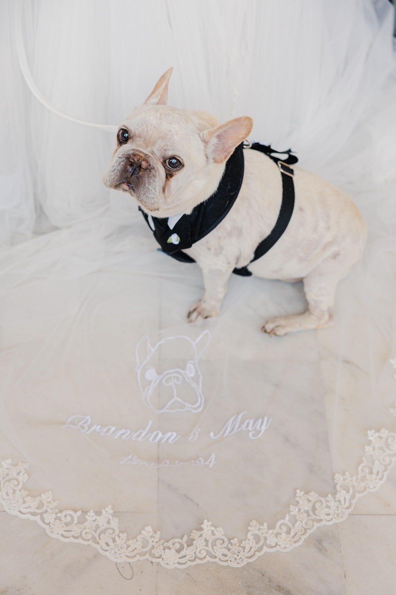 Custom Dog or Pet Embroidery Monogram Design for Wedding Veil White Custom Dog or Pet Embroidery Monogram Design for Wedding Veil White