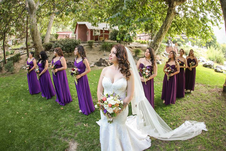 long cathedral drop wedding veil for royal purple wedding