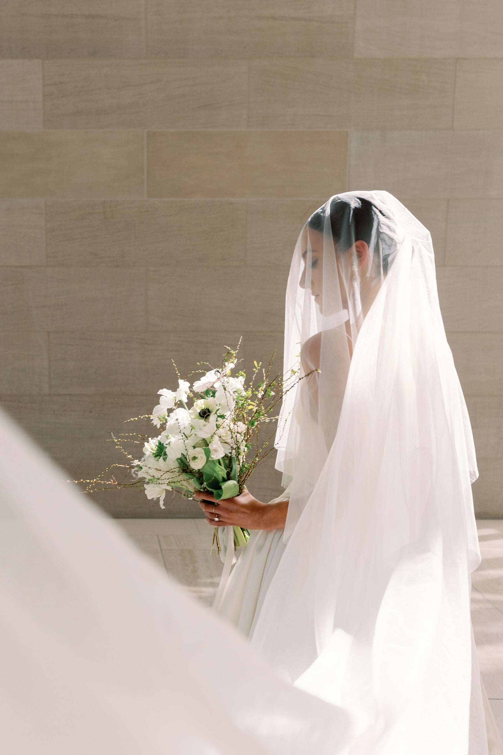 blush veil with ivory dress Chapel Length Wedding Veil, Simple Raw Edge Bridal Veil, White / Ivory Off White / Diamond / Cathedral Length
