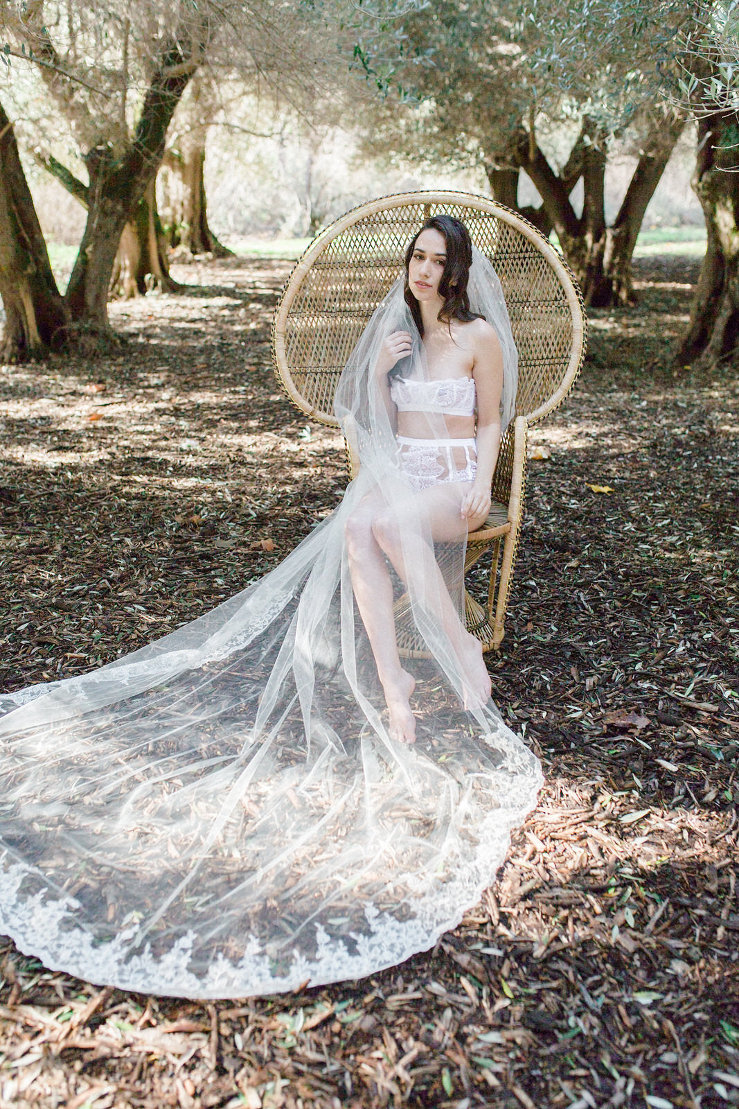 bride in long cathedral veil and lace lingerie 